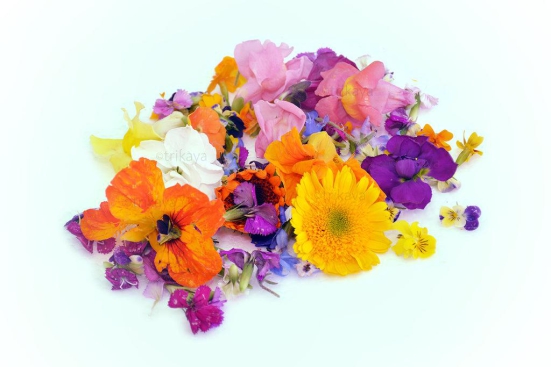 Edible Mix Flowers 1 Pack