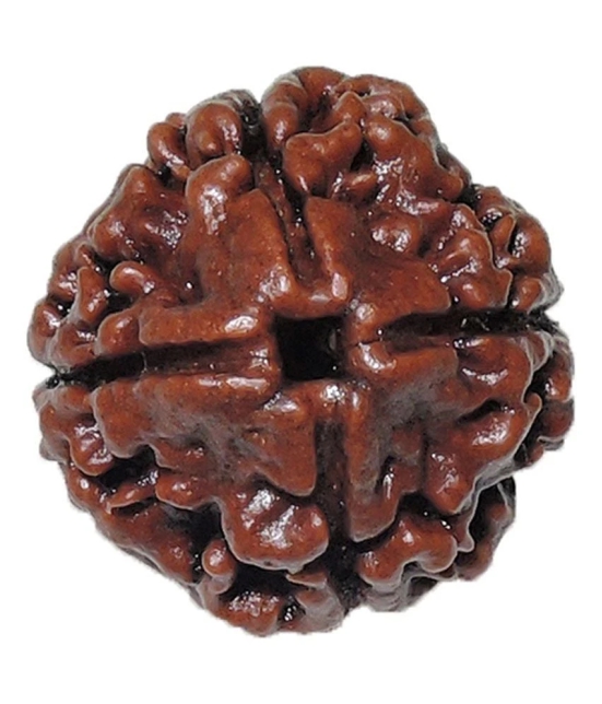 Rashi Ratan Bhagya Natural Rudraksha 4 Mukhi - Nepal