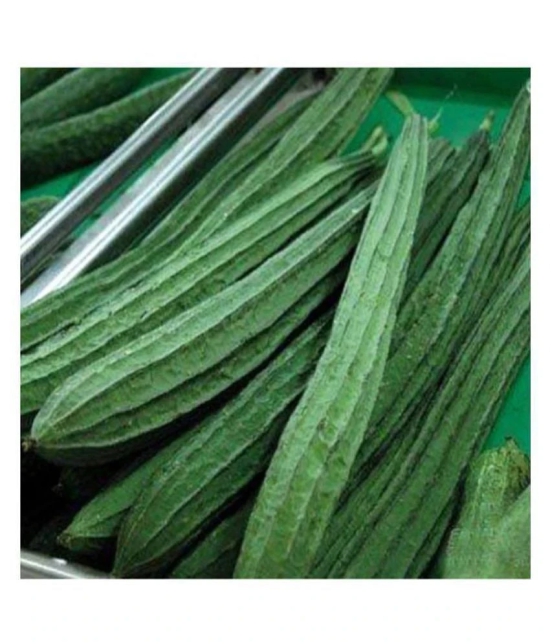 Ridge Gourd Seeds Variety Jaipur Long -20 Seeds Vegetable Seeds