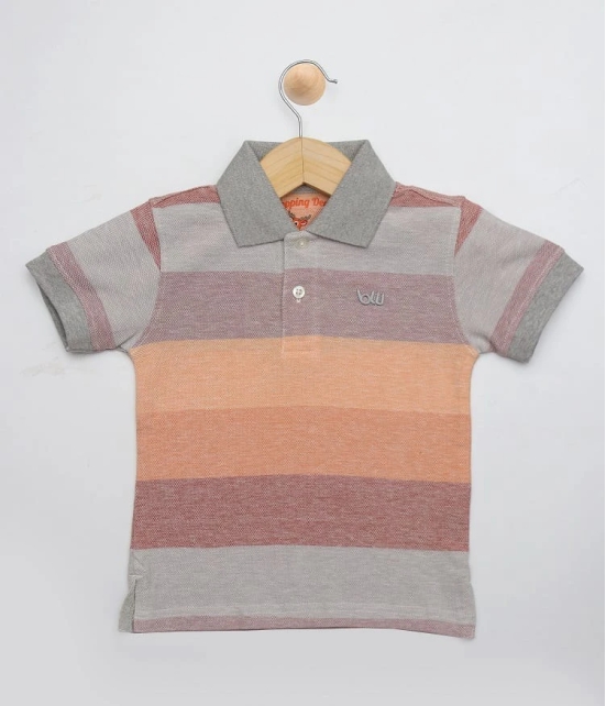 Boys Multi Color Polo T-Shirt