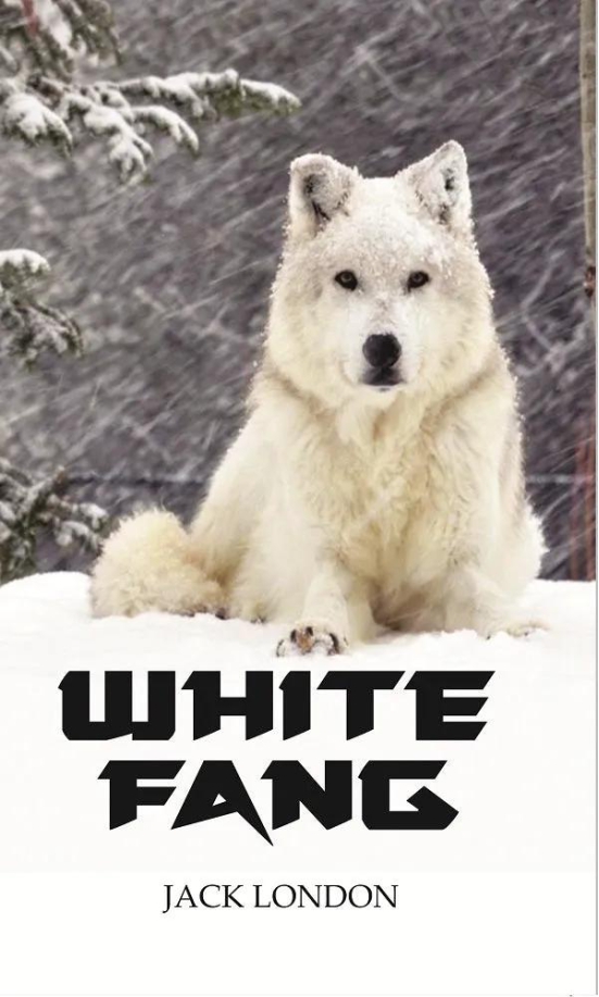WHITE FANG-Paperback
