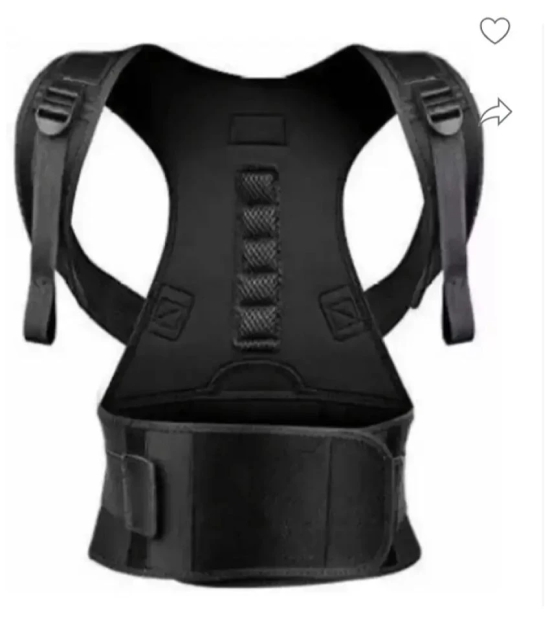 Fitgo Black Back Support ( Pack of 1 ) - XXL