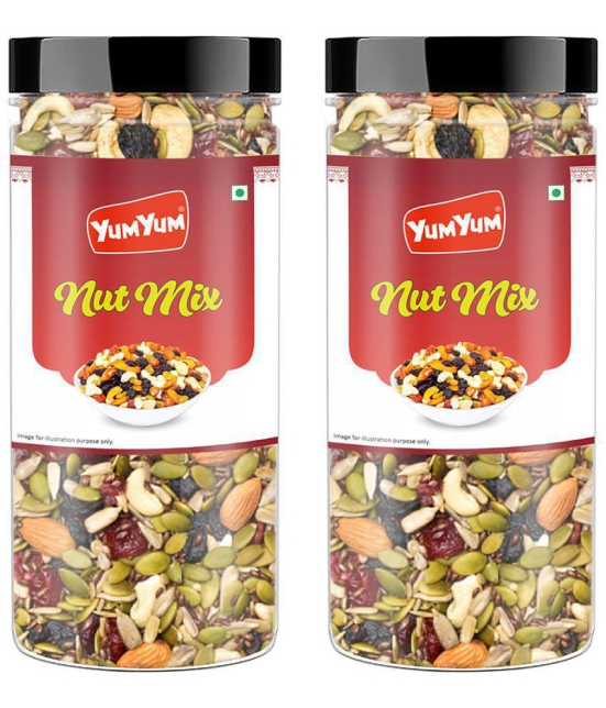 YUM YUM Premium Mixed Dry Fruits & Berries Healthy Dried Nutmix, 500g (Pack Of 2-250g Each)