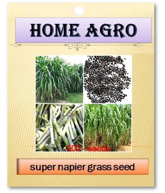 homeagro - Grass Seeds ( 500 )