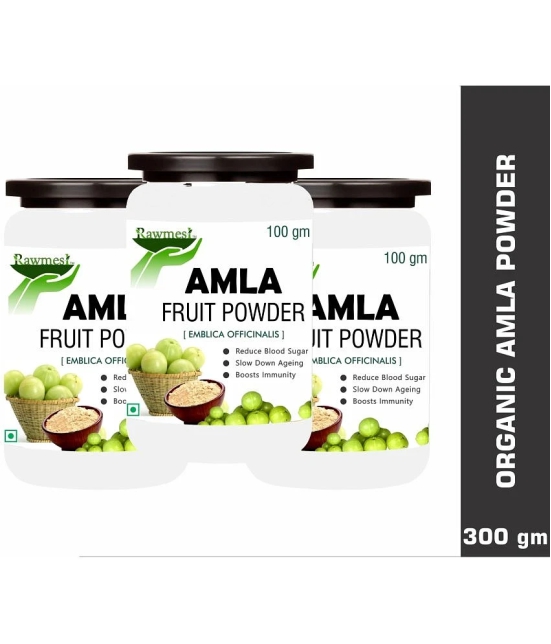 rawmest Amla Fruit Powder 100 gm Pack of 3