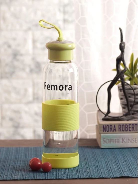 Femora Borosilicate Glass Green Leak Proof Drinkware Water Bottle, 500 ML