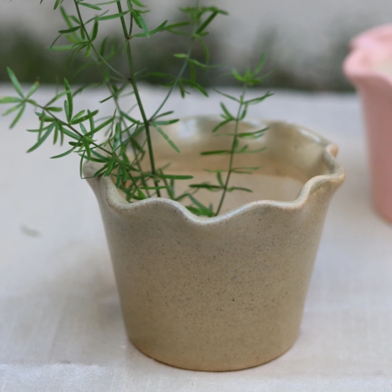 Beige Curved Planter