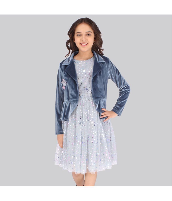 Cutecumber - Grey Net Girls Fit And Flare Dress ( Pack of 1 ) - None