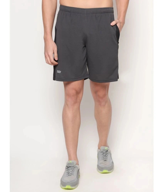 Dida - Dark Grey Polyester Mens Outdoor & Adventure Shorts ( Pack of 1 ) - None