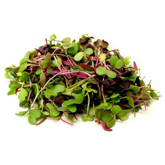 Microgreen Mix 50 Gms