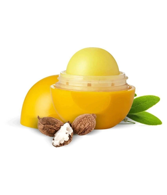 Organic Harvest Shea Butter Flavour Non Colored Lip Balm Enriched With Jojoba Oil & Lanolin, For Dry & Chapped Lips - 8 gm