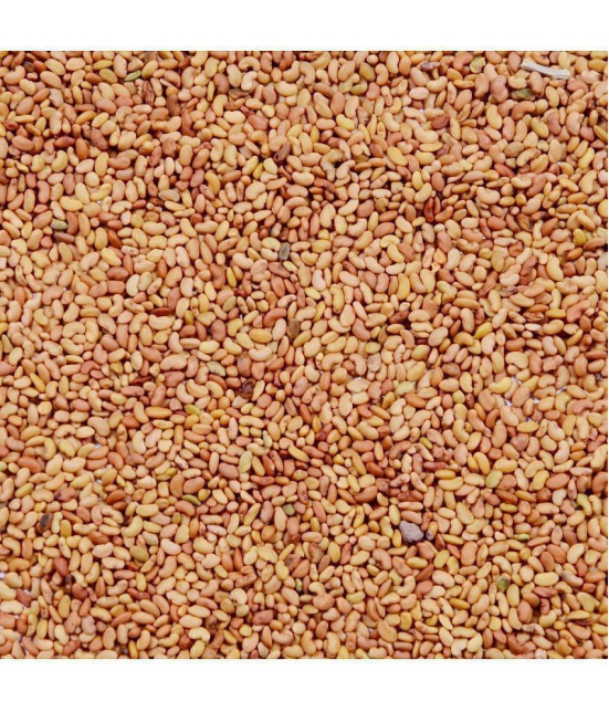 MYGODGIFT Organic Alfalfa Seeds Lucerne High Protein Grass Seeds 100 gm