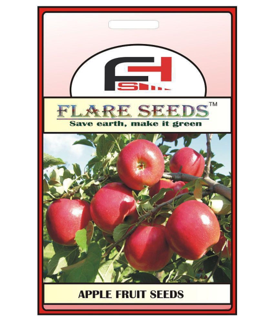 APPLE SEEDS - 10 Seeds Pack