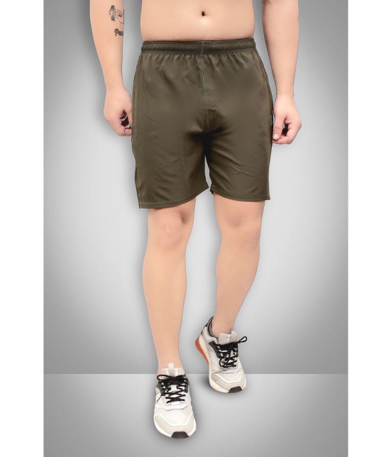 Forbro - Olive Polyester Men's Running Shorts ( Pack of 1 ) - None