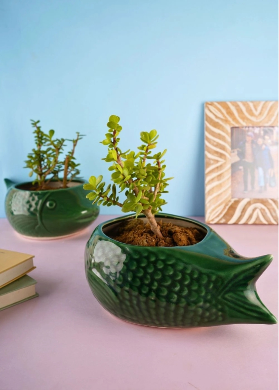 Green Catfish Planter