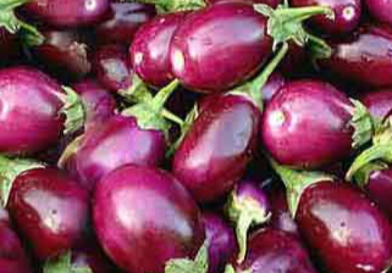 Brinjal - Vari 1 kg