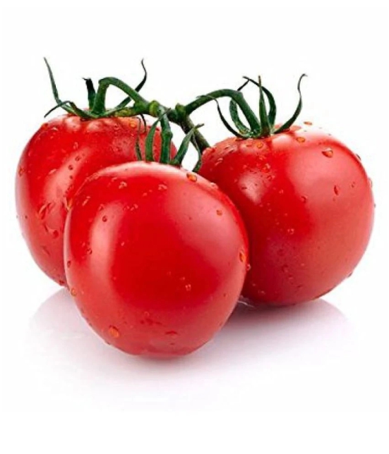 F1 HYBRID INDIAN TOMATO 100 SEEDS