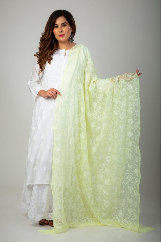 Ladies New Fashion Hand Chikankari Dupatta