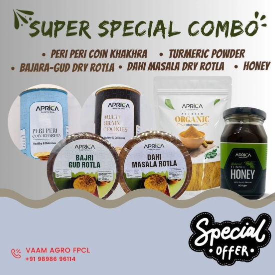 Super Special COMBO | Peri Peri Coin Khakhra | Bajra Gud Dry Rotla | Dahi Masala Dry Rotla | Millet Cookies | Honey | Turmeric Powder - GIFT BOX