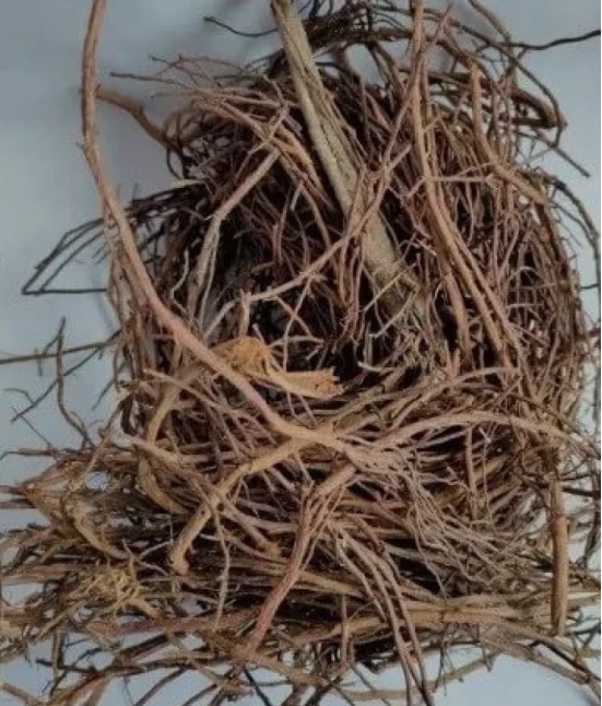 Bargad Ki Dadhi - Banyan Aerial Roots - Bar Ki Dari - Badh Ki Dadhi - Ficus benghalensis-50 Gms