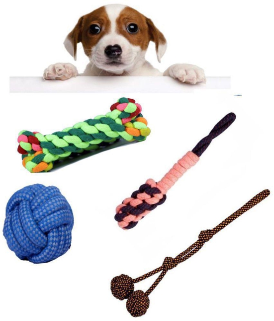 Beetle, Two Knot Two Punch, Small Ball, Bone Rope Toys for Dogs, Puppy chew Teething Set of 4