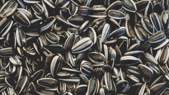 Sunflower Seeds