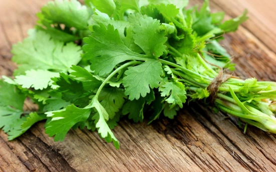 Coriander Leaves