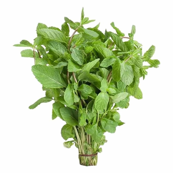 Namdhari Mint Bunch, 100 Gm