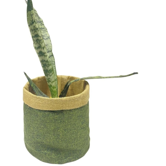 Jute Plant Baskets For Pots-Green