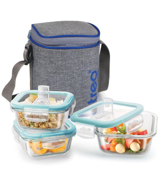 Treo by Milton All Fresh Square Glass Tiffin Containers With Insulated Jacket, 320 ml Each, Grey