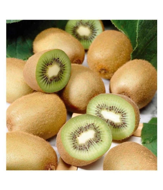 M-Technologies Kiwi Fruit Plant Seeds - Pack of 25