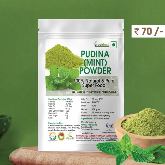 PUDINA POWDER