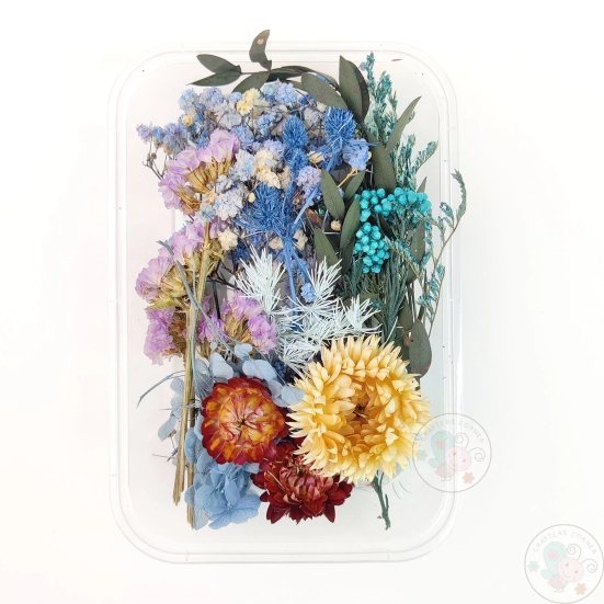 Mix Style Natural Dry Flowers #29