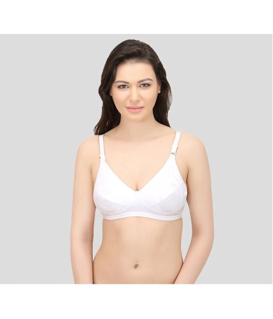 Elina - White Cotton Solid Womens Maternity Bra ( Pack of 1 ) - 34B