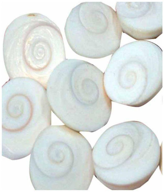 Djuize - Stone Gomti Chakra (Pack of 1)