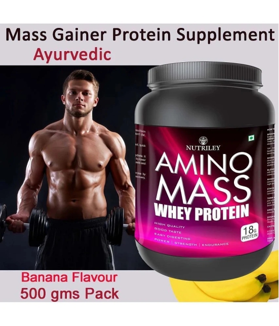 Nutriley Amino Mass Whey Protein ( 500 gm , Banana - Flavour )