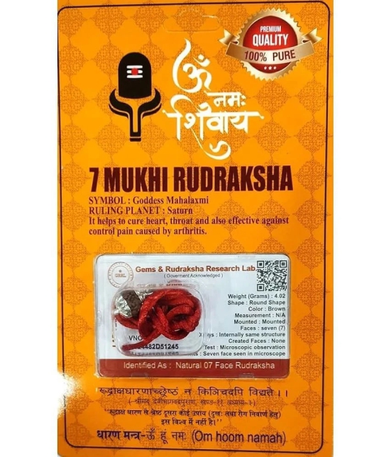 DvR ClicK 7 Mukhi Rudraksha Bead ( Pack of 1 )