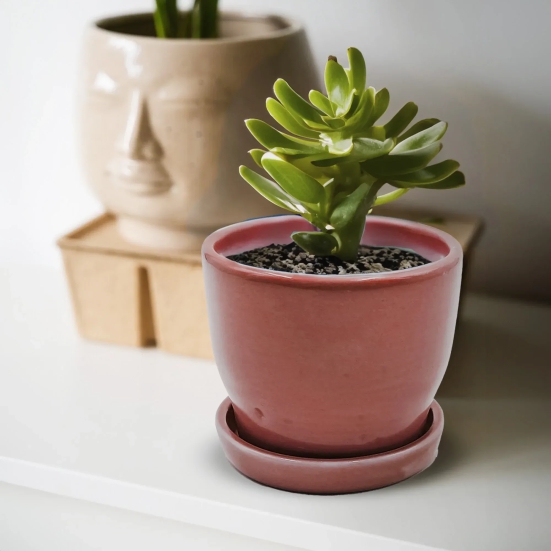 Ceramic Planter with Tray Beet Red