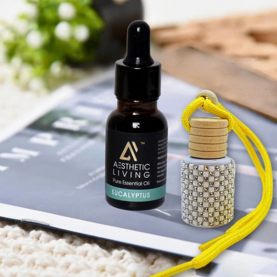 Aesthetic Living Car Aromatizer Diffuser Bottle with Essential Oil (Studded Bottle -12 ml + Eucalyptus Essential Oil, 15 ml)