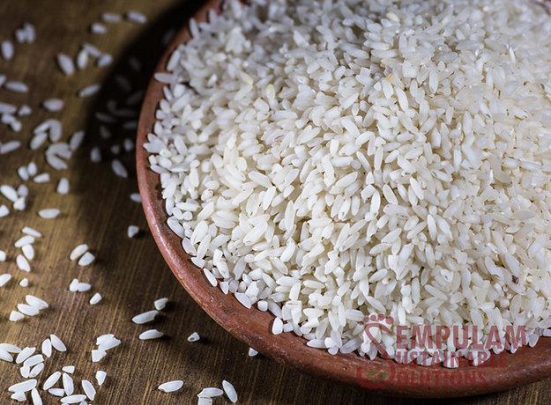 Iluppai Poo Samba (Raw Rice) - 500 Gms