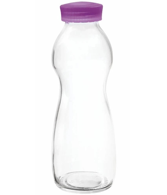 Treo By Milton Eazy Grip Borosilicate Glass Bottle, 550ml, Purple | Microwave Safe | Leak Proof | BPA Free | Scratche Resistant | Dishwasher Safe | Odour Free - Purple