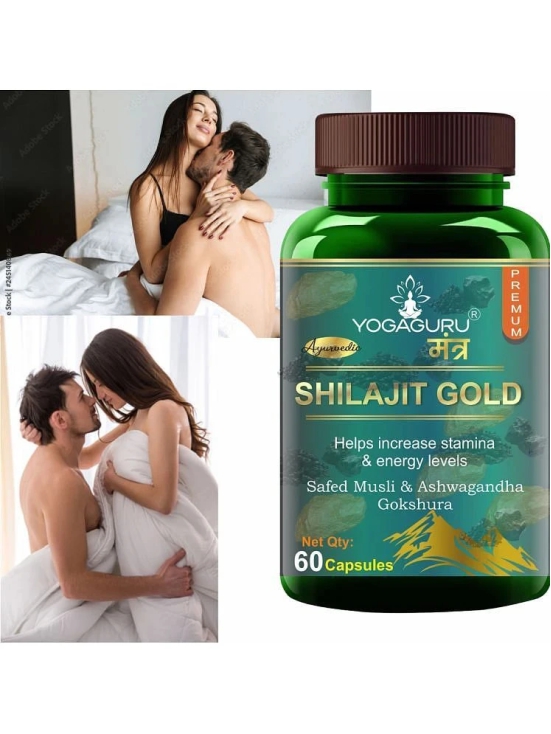 Shilajit Gold | Premium Vitality | Ayurvedic Supplement for Men 60 Capsules