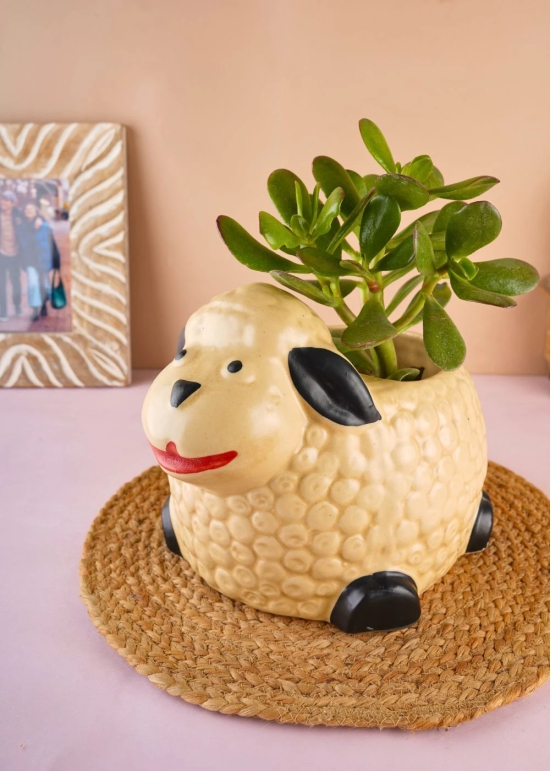 Sheep Planter