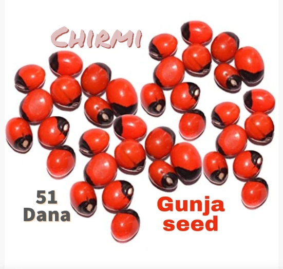 SS520 Lal Gunja Chirmi 51 Seed Pure Red Rosery Pia Seeds 10 gm