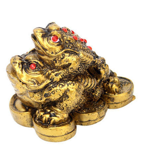 Astrogallery Fengshui Double Money Frog