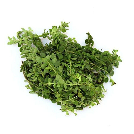 Fresh Oregano 20 Gms