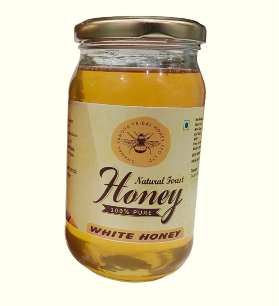 White honey (Indian Borage )