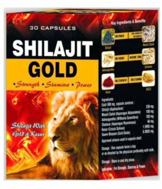 G&G Pharmacy Shilajit With Gold Capsules Pack Of 1