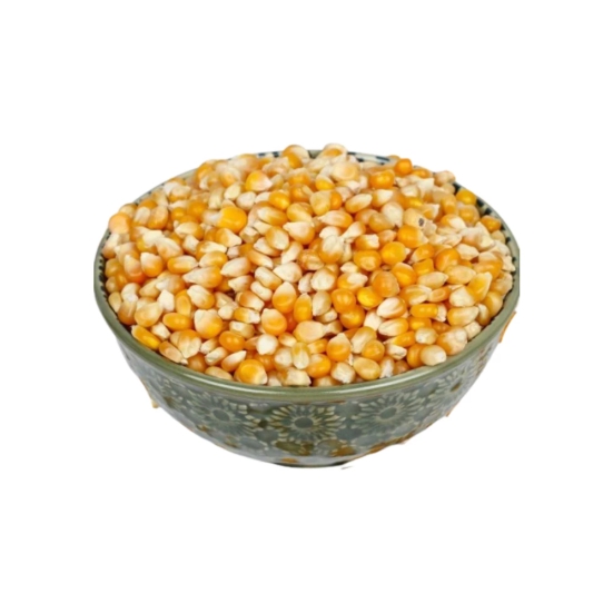 Maize Seed