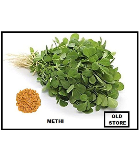 Fenugreek Methi saag 100 seeds pack with user manual